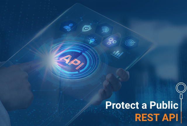 How Do You Protect a Public REST API?